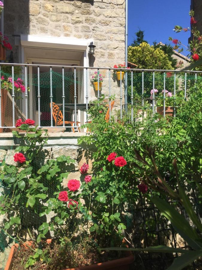 Maison De Vacances - Casa Mezanaccia Avec Terrasse Fleurie Meuble Tourisme 3 Etoiles Santa-Lucia-di-Tallano Exterior foto