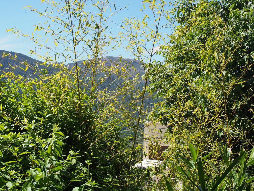 Maison De Vacances - Casa Mezanaccia Avec Terrasse Fleurie Meuble Tourisme 3 Etoiles Santa-Lucia-di-Tallano Exterior foto