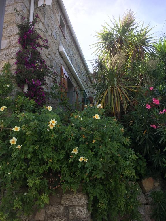 Maison De Vacances - Casa Mezanaccia Avec Terrasse Fleurie Meuble Tourisme 3 Etoiles Santa-Lucia-di-Tallano Quarto foto